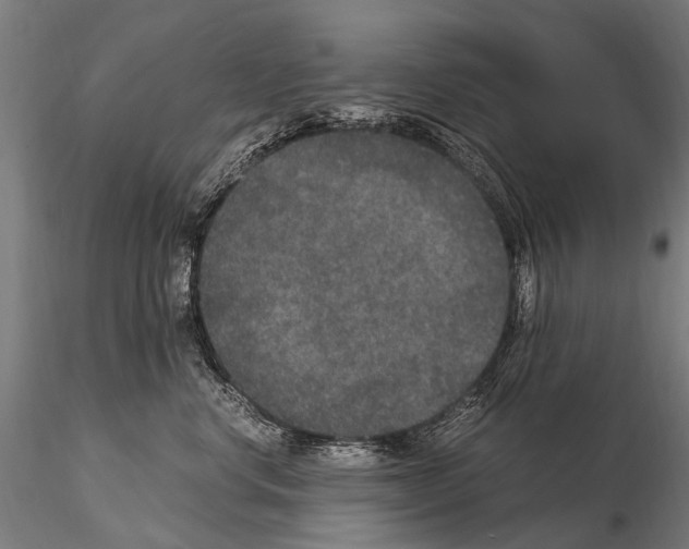 X0000115120668200912081346