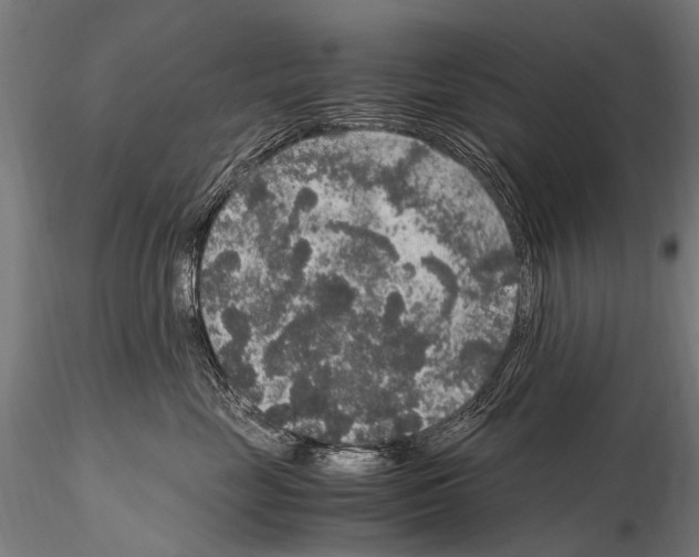 X0000115120669200912081346