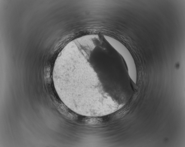 X0000115120670200912081346