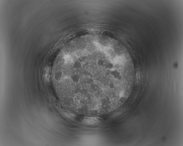 X0000115120671200912081346