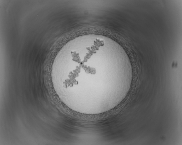 X0000115120672200912081346