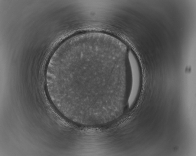 X0000115120673200912081345