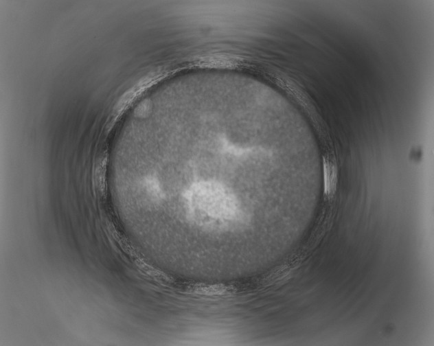 X0000115120675200912081345