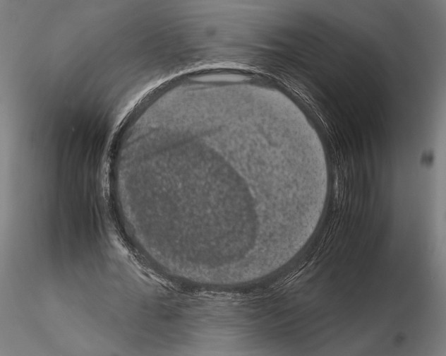 X0000115120676200912081345