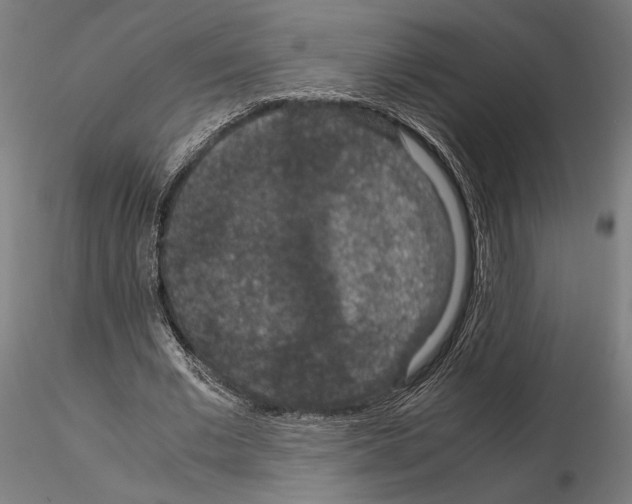 X0000115120677200912081345