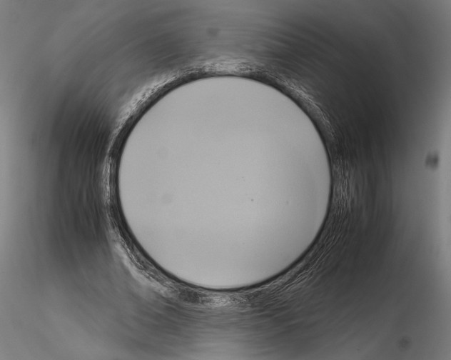 X0000115120678200912081345