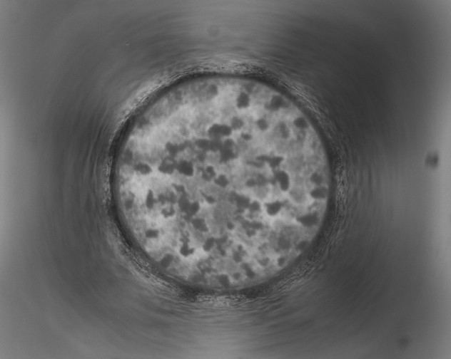 X0000115120679200912081345