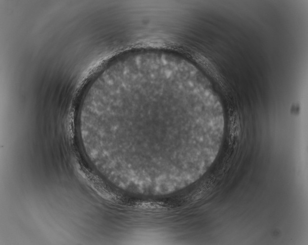 X0000115120680200912081345