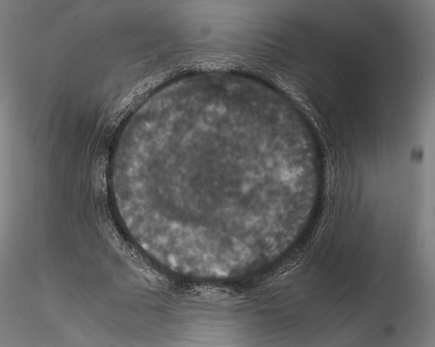 X0000115120681200912081345