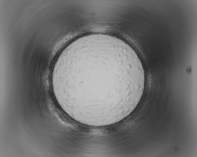 X0000115120682200912081345