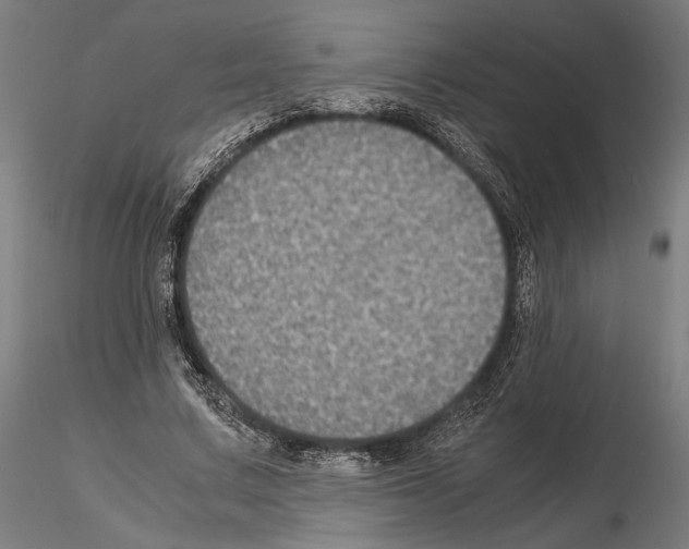 X0000115120683200912081345