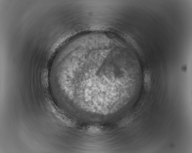 X0000115120684200912081345