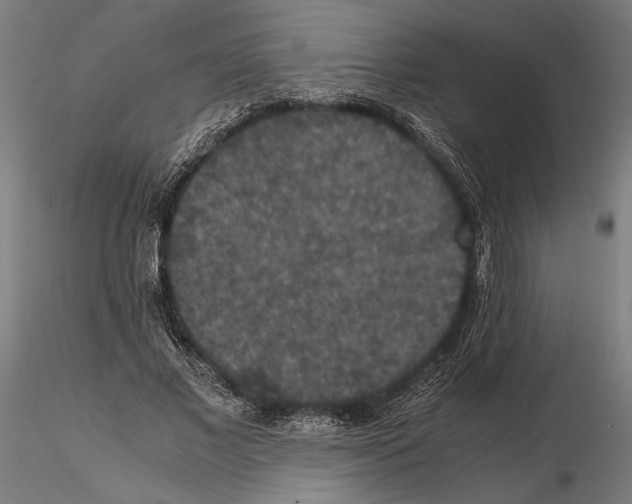 X0000115120685200912081345