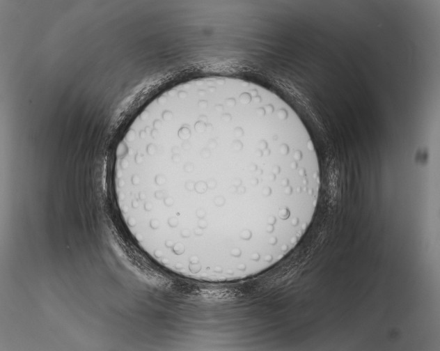 X0000115120686200912081345