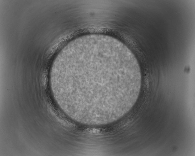 X0000115120687200912081345