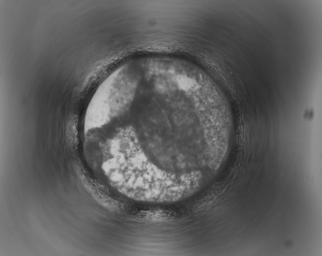 X0000115120688200912081345