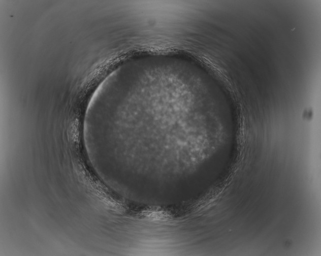 X0000115120689200912081345