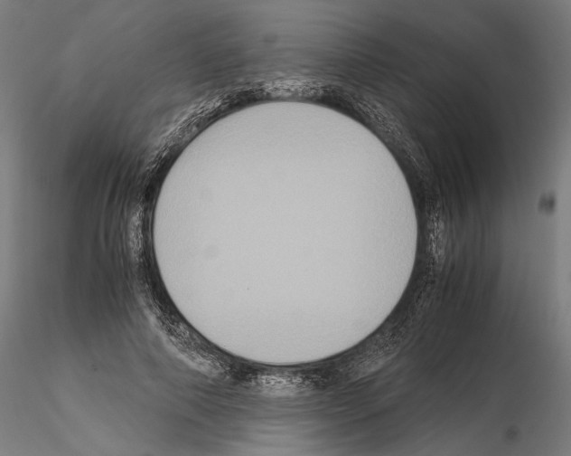 X0000115120690200912081345