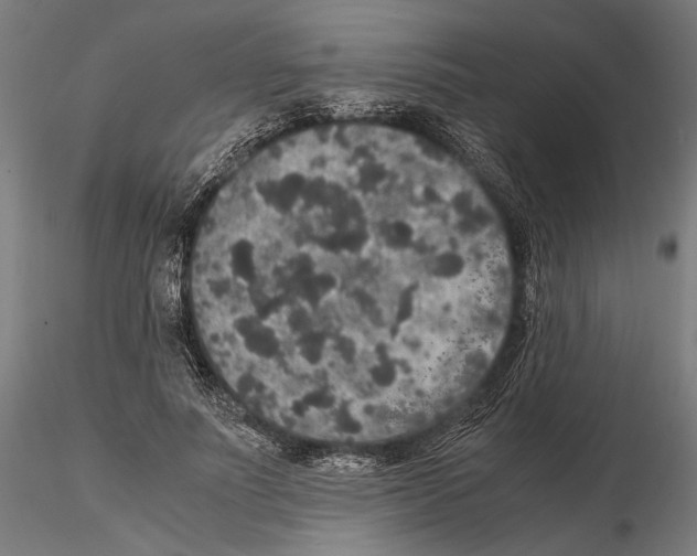 X0000115120691200912081345