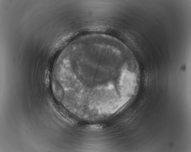 X0000115120692200912081345