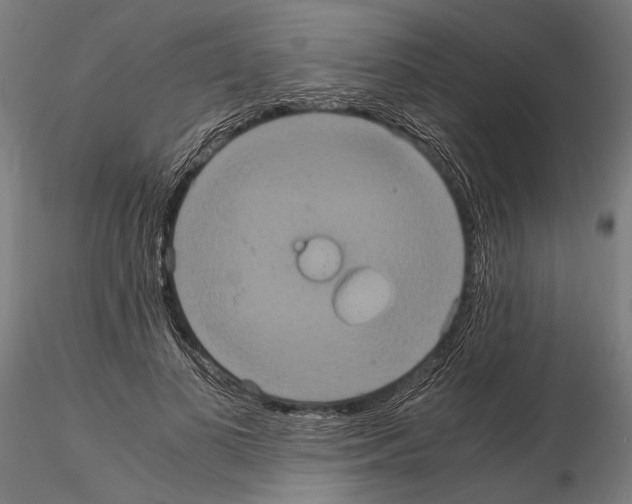 X0000115120693200912081345