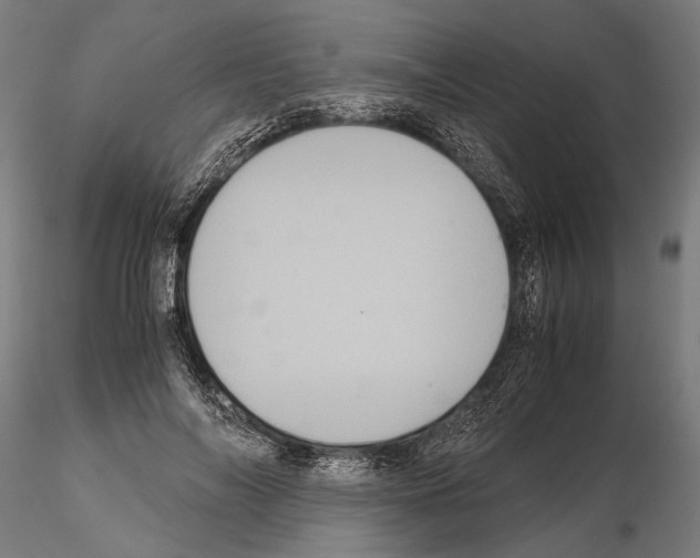 X0000115120694200912081345