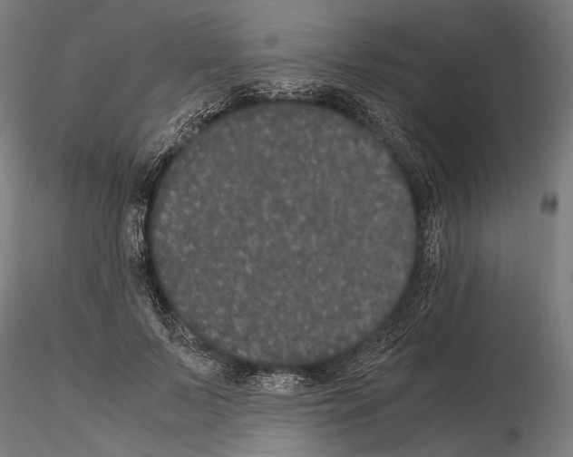 X0000115120695200912081345