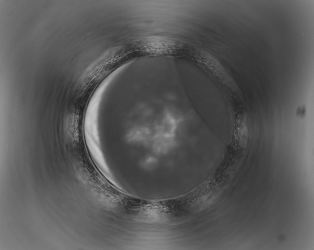 X0000115120696200912081345