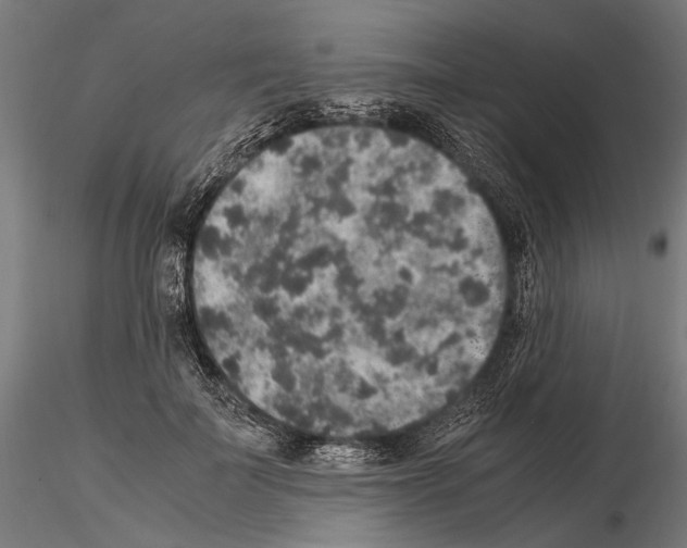 X0000115120699200912081345