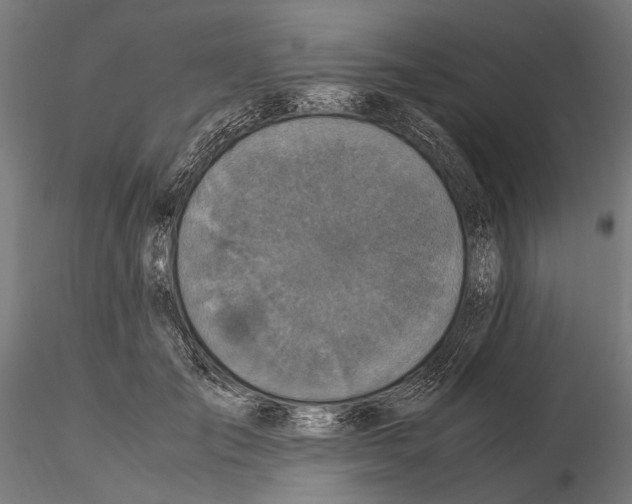 X0000115120701200912081345