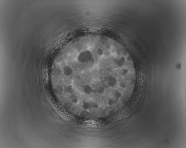 X0000115120703200912081345