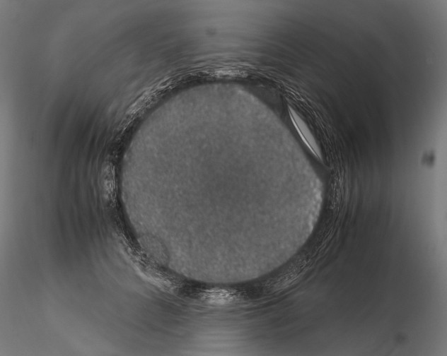 X0000115120704200912081344