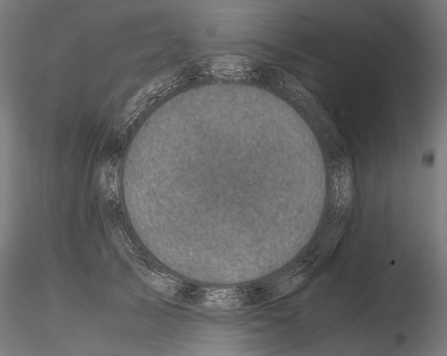 X0000115120705200912081344