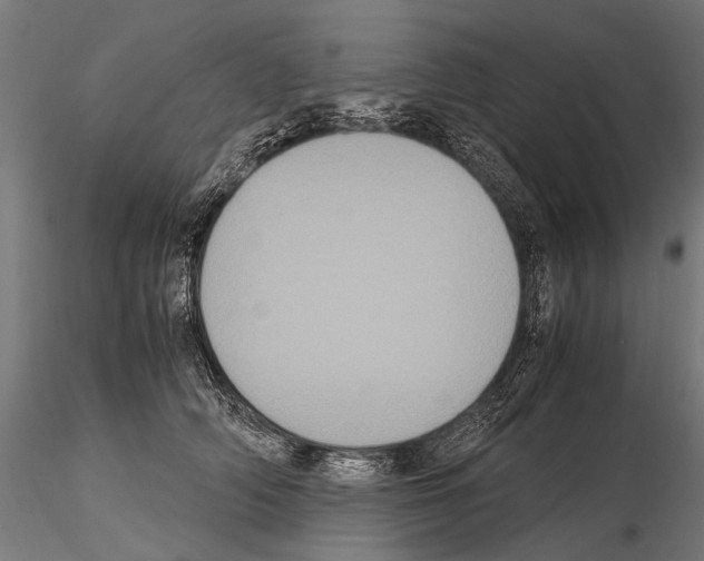 X0000115120706200912081344