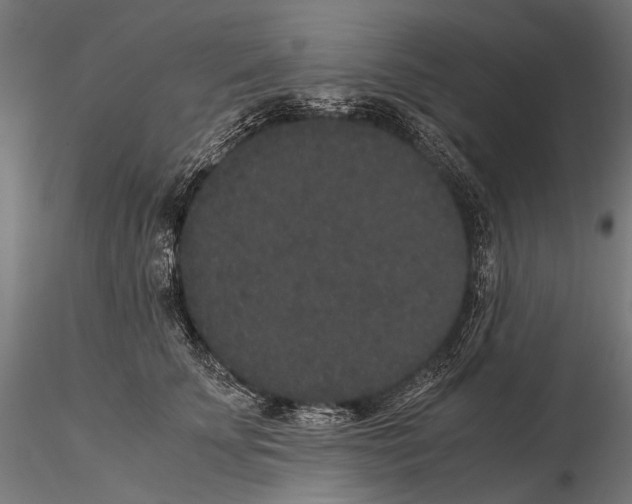 X0000115120707200912081344