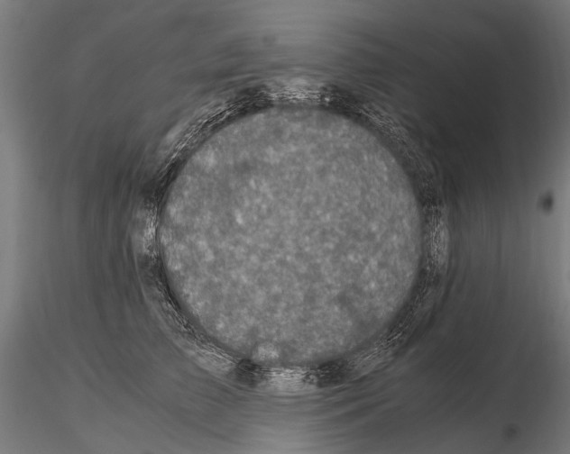 X0000115120709200912081344