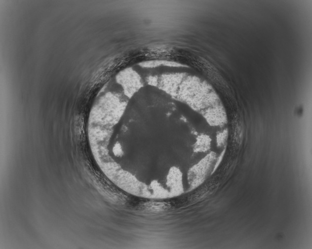 X0000115120711200912081344