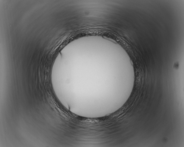 X0000115120712200912081344