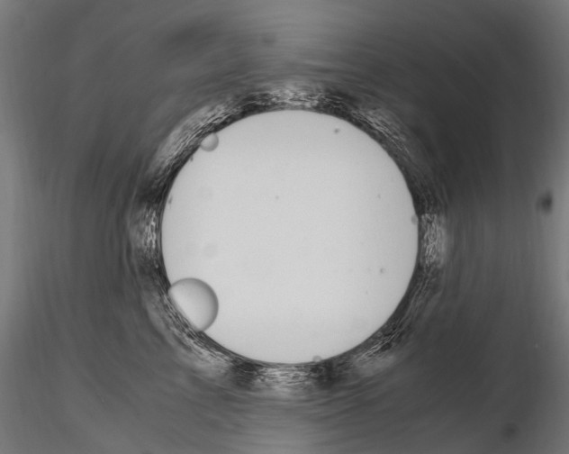 X0000115120713200912081344