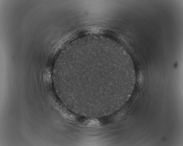 X0000115120715200912081344