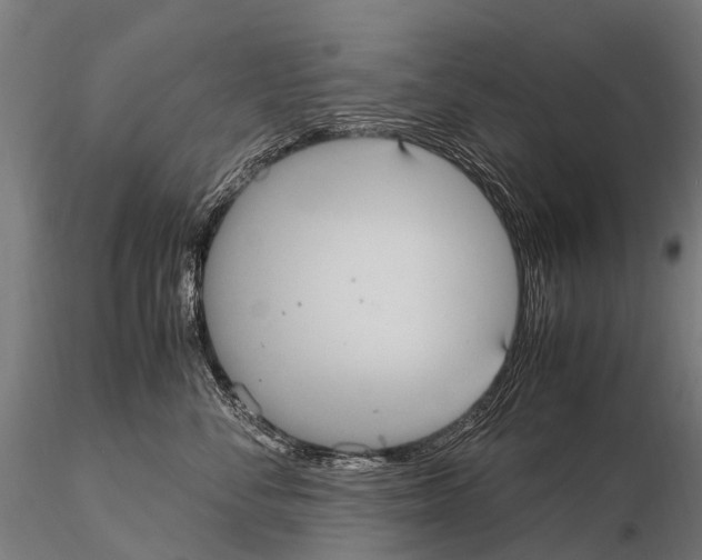 X0000115120716200912081344