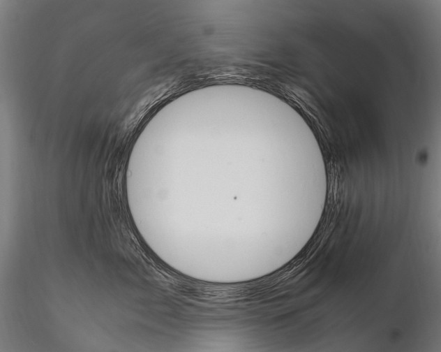 X0000115120717200912081344