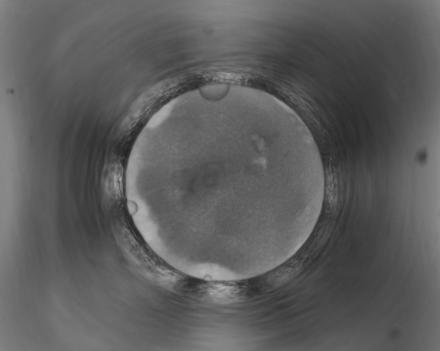 X0000115120718200912081344