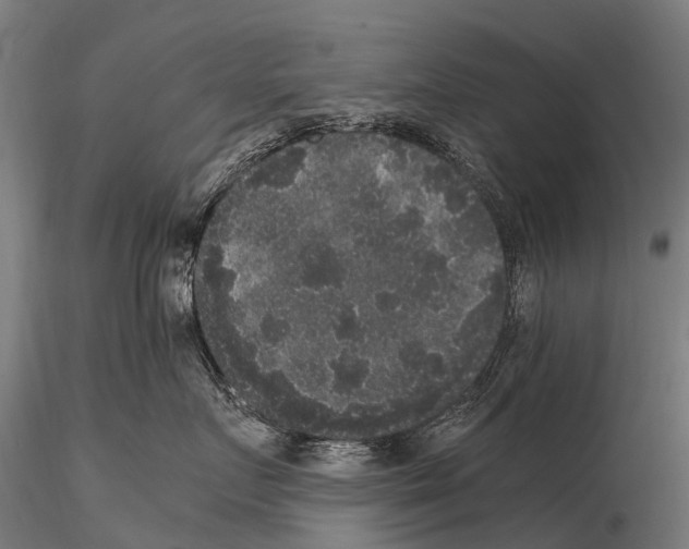 X0000115120719200912081344