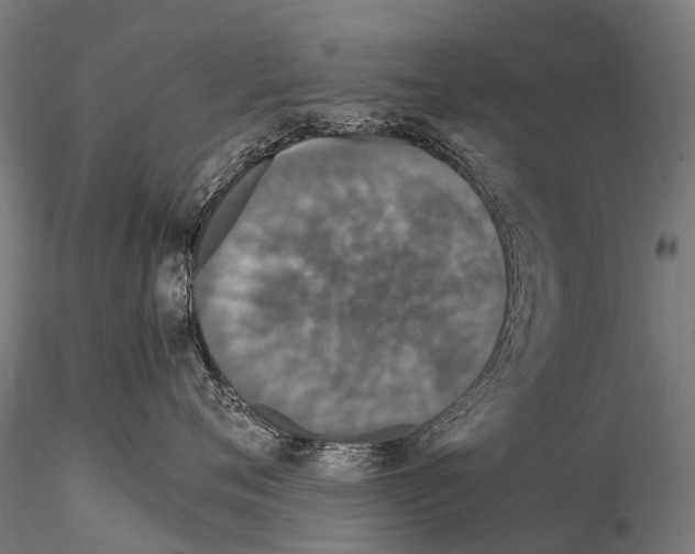 X0000115120720200912081344