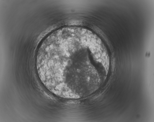 X0000115120721200912081343