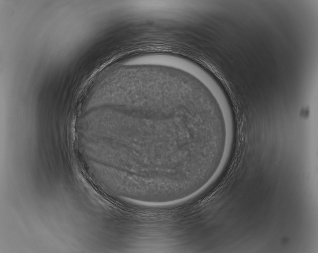 X0000115120722200912081343