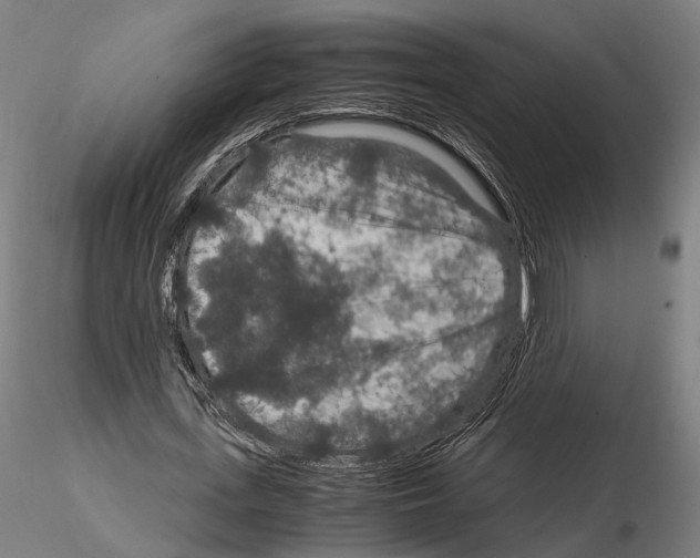 X0000115120723200912081343