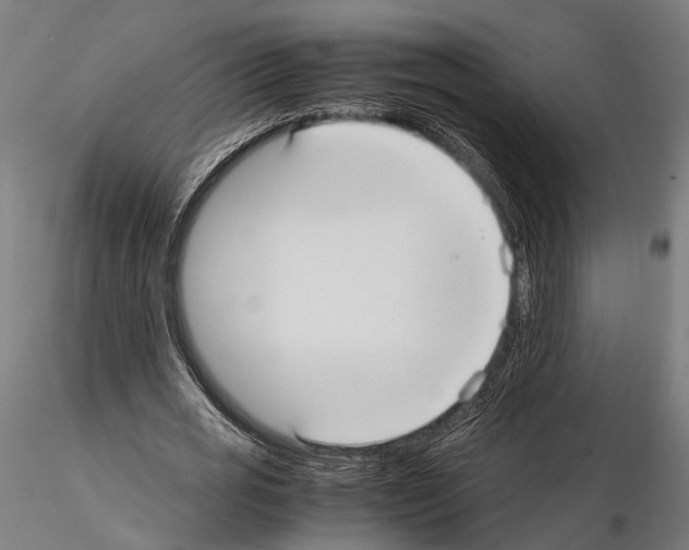 X0000115120725200912081343