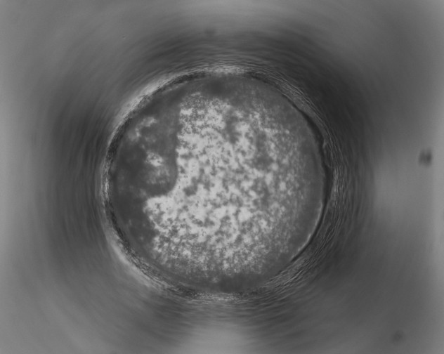 X0000115120726200912081343